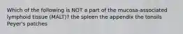 Which of the following is NOT a part of the mucosa-associated lymphoid tissue (MALT)? the spleen the appendix the tonsils Peyer's patches