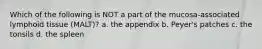 Which of the following is NOT a part of the mucosa-associated lymphoid tissue (MALT)? a. the appendix b. Peyer's patches c. the tonsils d. the spleen