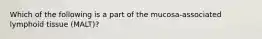 Which of the following is a part of the mucosa-associated lymphoid tissue (MALT)?