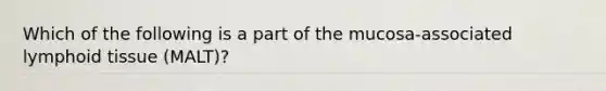 Which of the following is a part of the mucosa-associated lymphoid tissue (MALT)?