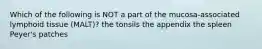 Which of the following is NOT a part of the mucosa-associated lymphoid tissue (MALT)? the tonsils the appendix the spleen Peyer's patches