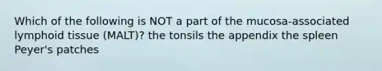 Which of the following is NOT a part of the mucosa-associated lymphoid tissue (MALT)? the tonsils the appendix the spleen Peyer's patches