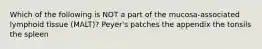 Which of the following is NOT a part of the mucosa-associated lymphoid tissue (MALT)? Peyer's patches the appendix the tonsils the spleen