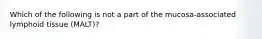 Which of the following is not a part of the mucosa-associated lymphoid tissue (MALT)?