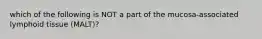 which of the following is NOT a part of the mucosa-associated lymphoid tissue (MALT)?