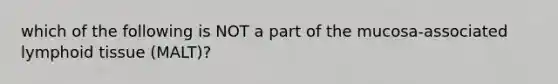 which of the following is NOT a part of the mucosa-associated lymphoid tissue (MALT)?