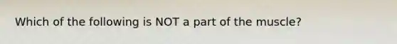 Which of the following is NOT a part of the muscle?