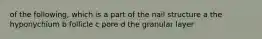 of the following, which is a part of the nail structure a the hyponychium b follicle c pore d the granular layer
