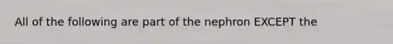 All of the following are part of the nephron EXCEPT the