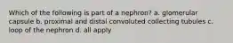 Which of the following is part of a nephron? a. glomerular capsule b. proximal and distal convoluted collecting tubules c. loop of the nephron d. all apply