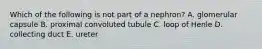 Which of the following is not part of a nephron? A. glomerular capsule B. proximal convoluted tubule C. loop of Henle D. collecting duct E. ureter