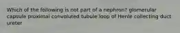 Which of the following is not part of a nephron? glomerular capsule proximal convoluted tubule loop of Henle collecting duct ureter