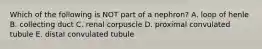 Which of the following is NOT part of a nephron? A. loop of henle B. collecting duct C. renal corpuscle D. proximal convulated tubule E. distal convulated tubule