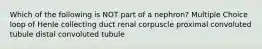 Which of the following is NOT part of a nephron? Multiple Choice loop of Henle collecting duct renal corpuscle proximal convoluted tubule distal convoluted tubule