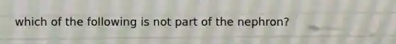 which of the following is not part of the nephron?