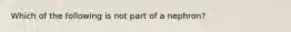 Which of the following is not part of a nephron?