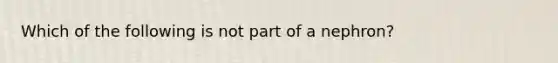 Which of the following is not part of a nephron?