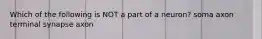 Which of the following is NOT a part of a neuron? soma axon terminal synapse axon