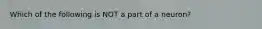 Which of the following is NOT a part of a neuron?