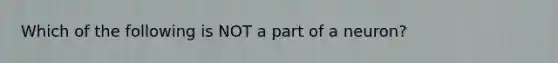 Which of the following is NOT a part of a neuron?