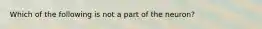 Which of the following is not a part of the neuron?