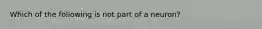 Which of the following is not part of a neuron?