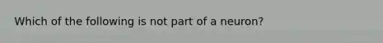 Which of the following is not part of a neuron?