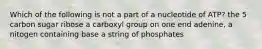 Which of the following is not a part of a nucleotide of ATP? the 5 carbon sugar ribose a carboxyl group on one end adenine, a nitogen containing base a string of phosphates