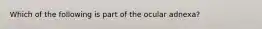 Which of the following is part of the ocular adnexa?