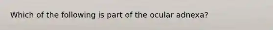 Which of the following is part of the ocular adnexa?