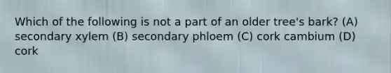 Which of the following is not a part of an older tree's bark? (A) secondary xylem (B) secondary phloem (C) cork cambium (D) cork