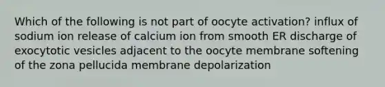 Which of the following is not part of oocyte activation? influx of sodium ion release of calcium ion from smooth ER discharge of exocytotic vesicles adjacent to the oocyte membrane softening of the zona pellucida membrane depolarization