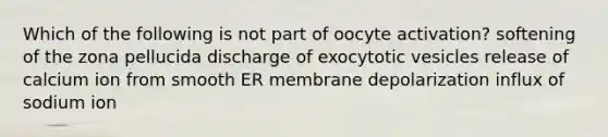 Which of the following is not part of oocyte activation? softening of the zona pellucida discharge of exocytotic vesicles release of calcium ion from smooth ER membrane depolarization influx of sodium ion