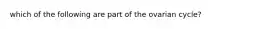 which of the following are part of the ovarian cycle?