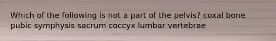 Which of the following is not a part of the pelvis? coxal bone pubic symphysis sacrum coccyx lumbar vertebrae