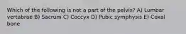 Which of the following is not a part of the pelvis? A) Lumbar vertabrae B) Sacrum C) Coccyx D) Pubic symphysis E) Coxal bone