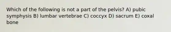 Which of the following is not a part of the pelvis? A) pubic symphysis B) lumbar vertebrae C) coccyx D) sacrum E) coxal bone