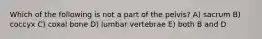 Which of the following is not a part of the pelvis? A) sacrum B) coccyx C) coxal bone D) lumbar vertebrae E) both B and D