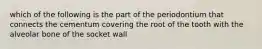 which of the following is the part of the periodontium that connects the cementum covering the root of the tooth with the alveolar bone of the socket wall