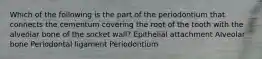 Which of the following is the part of the periodontium that connects the cementum covering the root of the tooth with the alveolar bone of the socket wall? Epithelial attachment Alveolar bone Periodontal ligament Periodontium