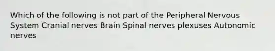 Which of the following is not part of the Peripheral Nervous System Cranial nerves Brain Spinal nerves plexuses Autonomic nerves