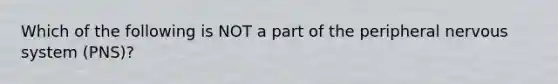 Which of the following is NOT a part of the peripheral nervous system (PNS)?