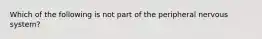 Which of the following is not part of the peripheral nervous system?