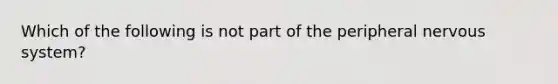 Which of the following is not part of the peripheral nervous system?