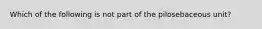 Which of the following is not part of the pilosebaceous unit?