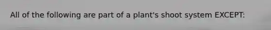 All of the following are part of a plant's shoot system EXCEPT: