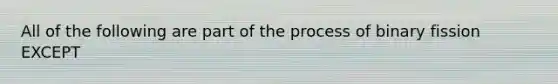 All of the following are part of the process of binary fission EXCEPT