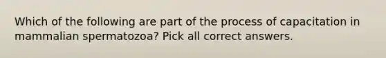 Which of the following are part of the process of capacitation in mammalian spermatozoa? Pick all correct answers.