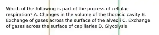 Which of the following is part of the process of cellular respiration? A. Changes in the volume of the thoracic cavity B. Exchange of gases across the surface of the alveoli C. Exchange of gases across the surface of capillaries D. Glycolysis