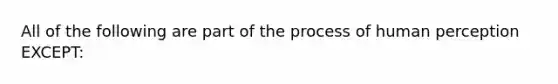 All of the following are part of the process of human perception EXCEPT: